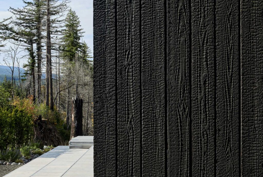 Shou Sugi Ban charred wood siding adds texture and contrast along a modern exterior walkway.